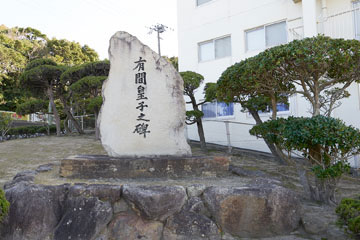 images
