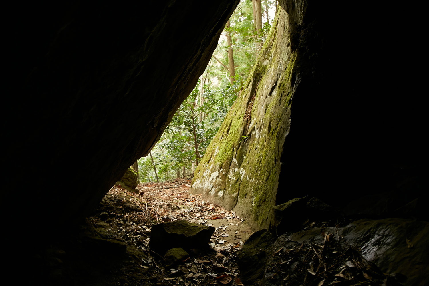 images